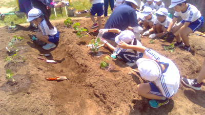 WIN_20250529_10_38_48_Pro