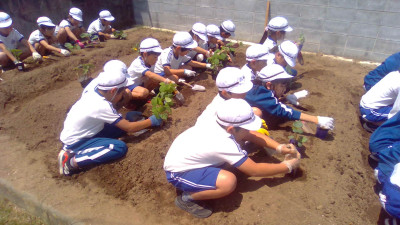 WIN_20250529_10_34_31_Pro