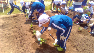 WIN_20250529_10_37_34_Pro