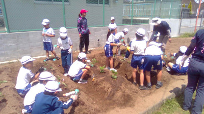 WIN_20250529_10_41_51_Pro