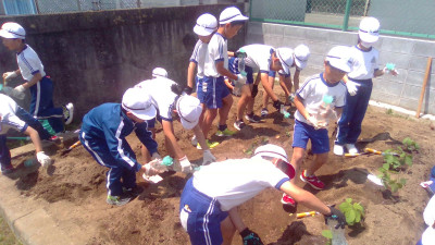 WIN_20250529_10_40_55_Pro