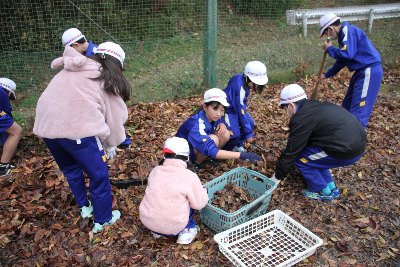 IMG_9995◯かれん