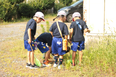 IMG_6743◯　１虫