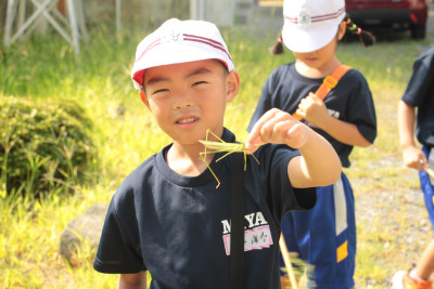 IMG_6746◯　１虫