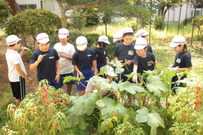 IMG_6770◯　３植