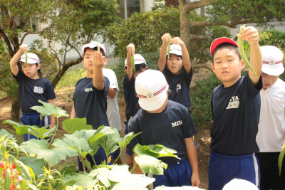 IMG_6771◯　３植