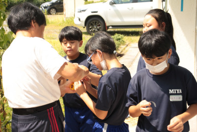 IMG_6768◯　５花