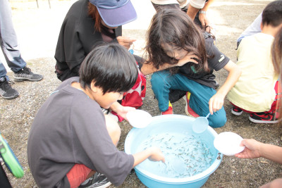 IMG_8197　メダカおと・そうた