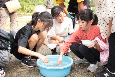 IMG_8215　メダカさき・ゆず