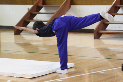 IMG_9041　マット