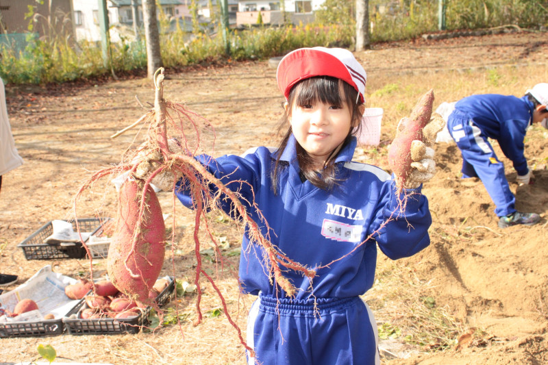 IMG_9461　みおん