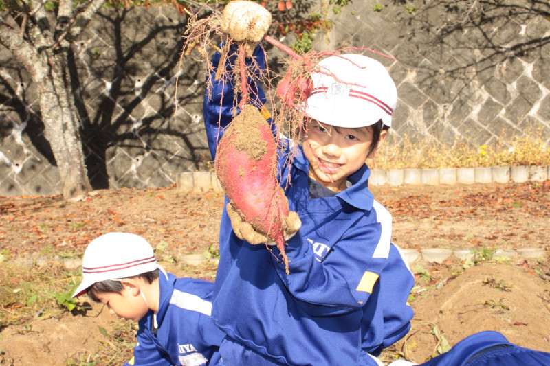 IMG_9453　やまと