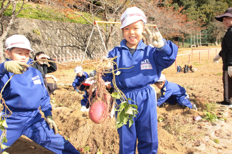 IMG_9459　いろは