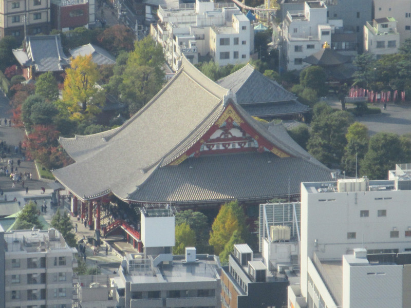 スカツリ景色１