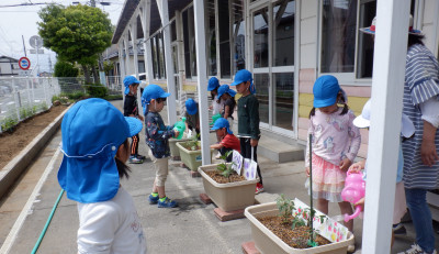 00　年長　水やりDSCF0061