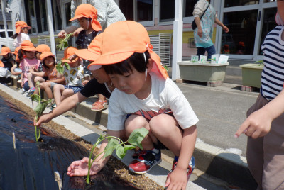 00　サツマ　年少　DSCF0374