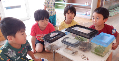 00　年長　虫博士６８