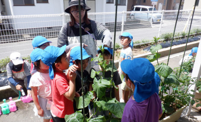 00  年長　観察　InkedDSCF0826_LI