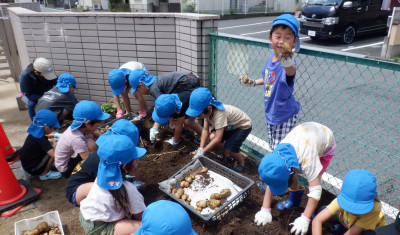 00 年長 じゃがいも堀 とった!SCF1592