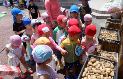 00 年少 じゃがいもを眺めるDSCF1623