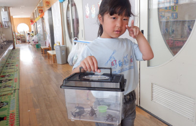 00　カブトムシ　DSCF2117