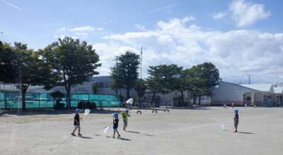 00 年長 バッタさらわtnenntyou DSCF4007