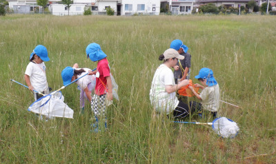 00 年長 虫取りou DSCF4029