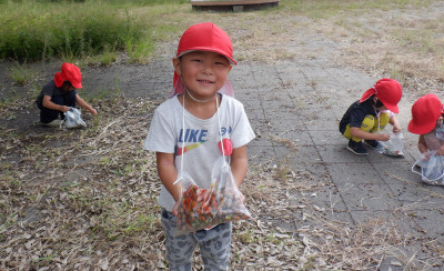 00 年中 どんぐり DSCF4044