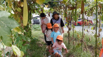 00 年少 緑のトンネル DSCF4078