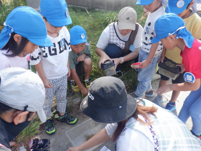 00 年長 虫の家 DSCF4096