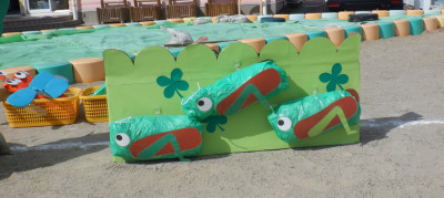 00 年長 ばった DSCF4174