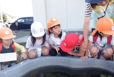 00 お散歩 池 DSCF4408