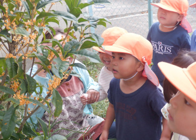 00 年少 いいにおい DSCF4685