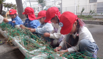 00 年中 アップDSCF5154