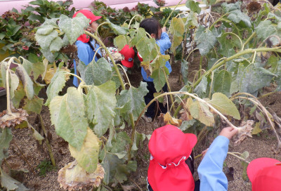 00 年中 種取1DSCF5356