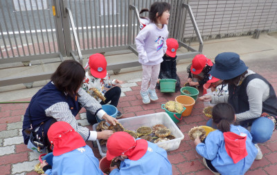 00 年中 種取2DSCF5371