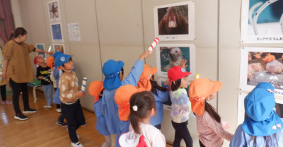 00 アクア サメ DSCF5448