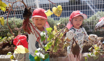 00 芋ほり 年中 DSCF5589