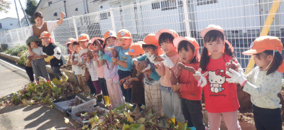 00 芋ほり 年少 DSCF5570