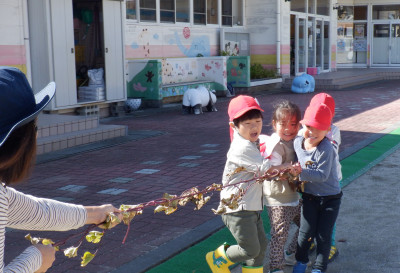 00 綱引き 年中 綱引きDSCF5620