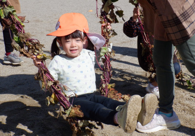 00 ブランコ 年少DSCF5638