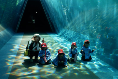 00 年中 写真DSCF5844