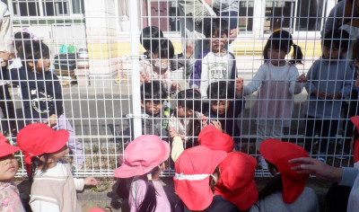 00 年少 転園生散歩 DSCF6114