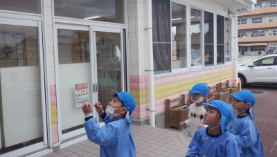 00　雪虫　 DSCF6906