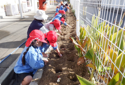 00　球根植え　DSCF6992