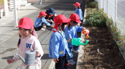 00　水やり　年中　DSCF7006