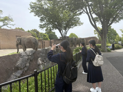 Image_20250515_092427_796