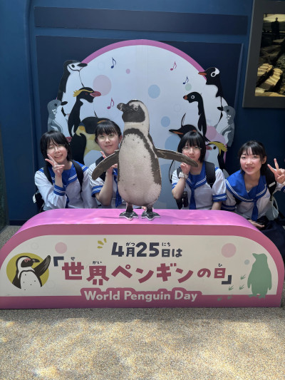 Image_20250515_112611_328