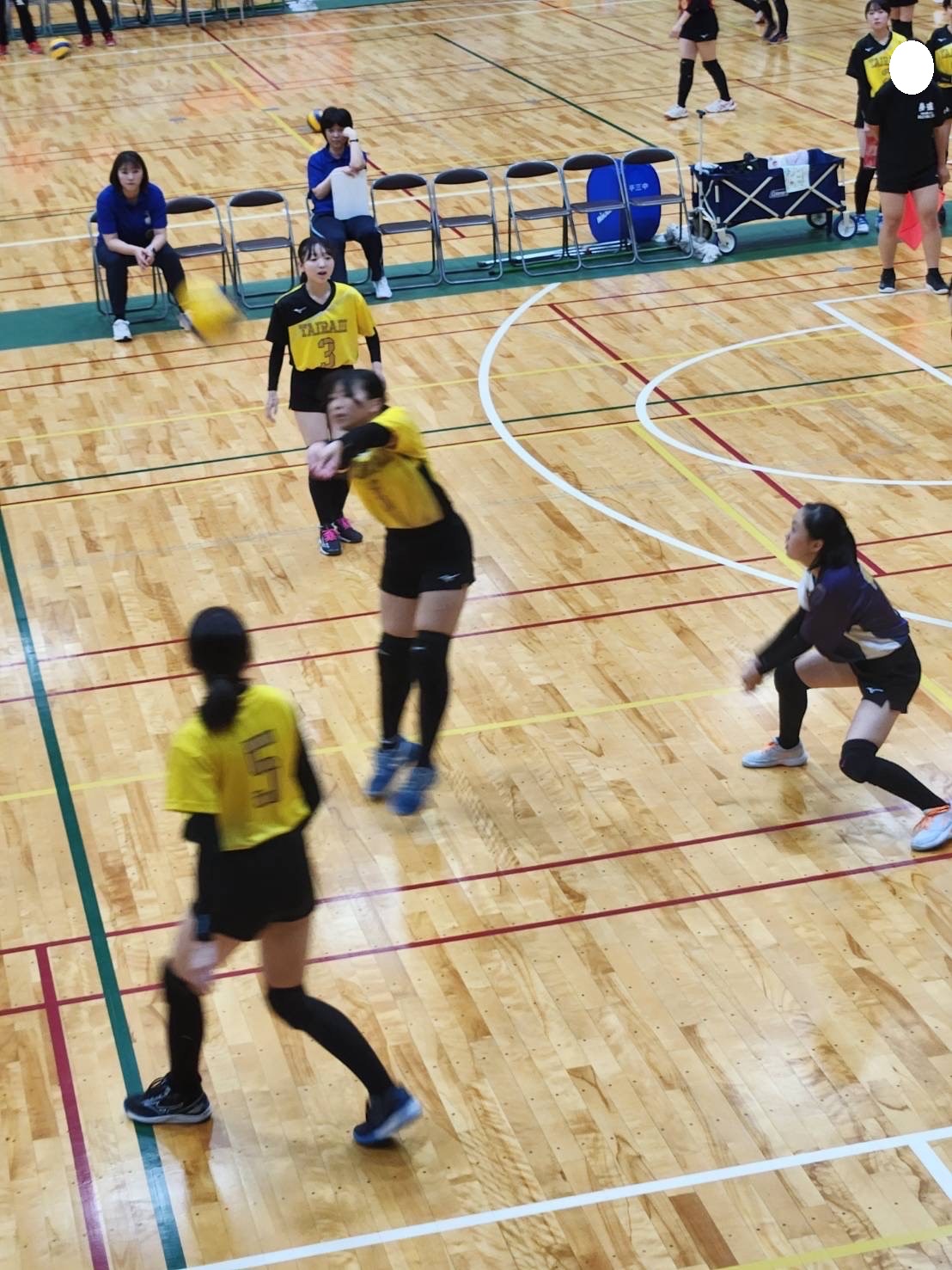 Image_20250607_091311_535