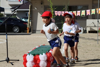 高坂幼稚園2025運動会_0042